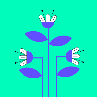 baner